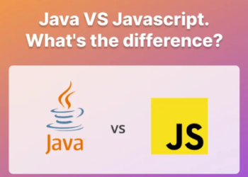What is the Difference Between Java and JavaScript